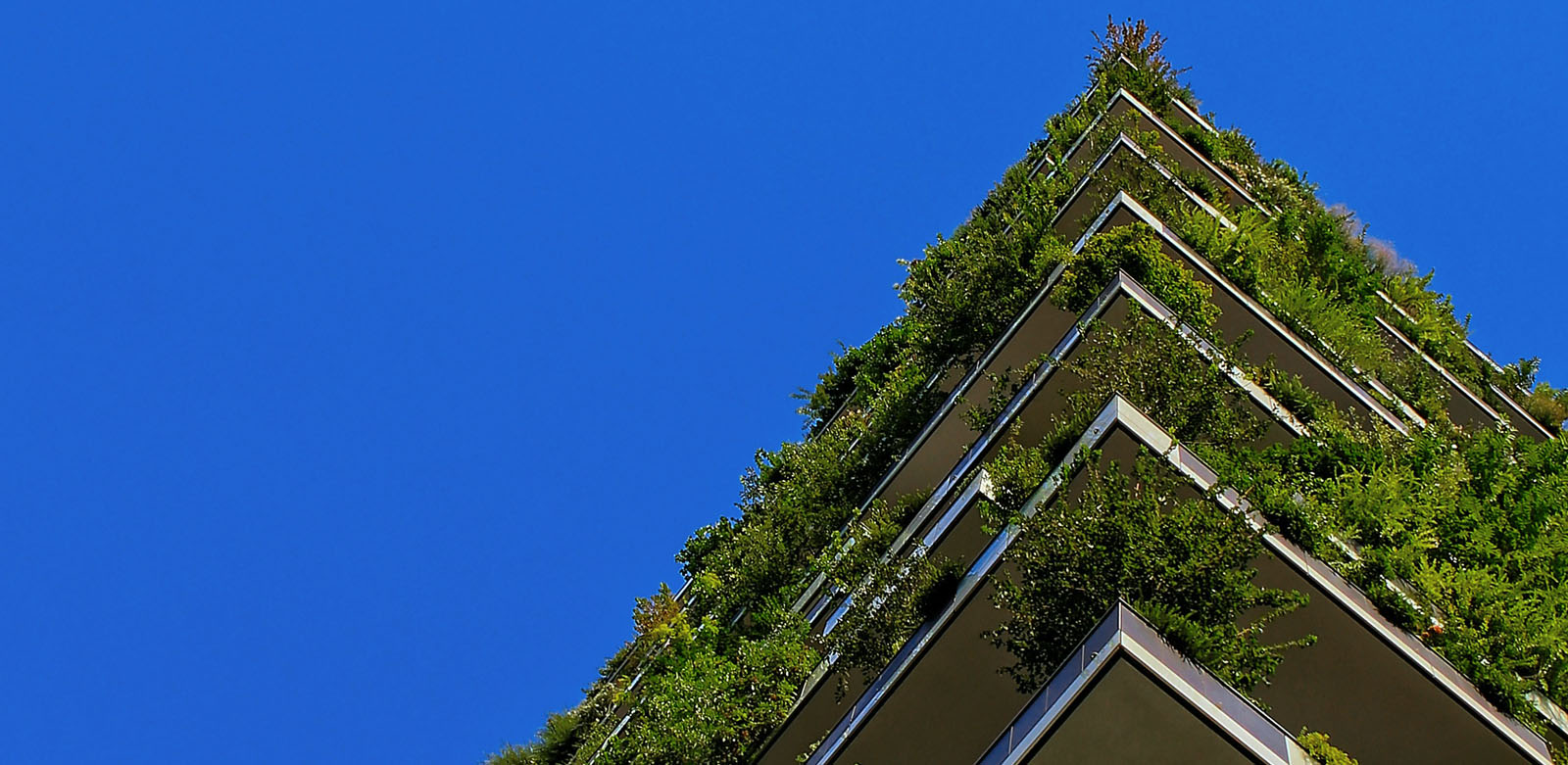 Proceso participativo